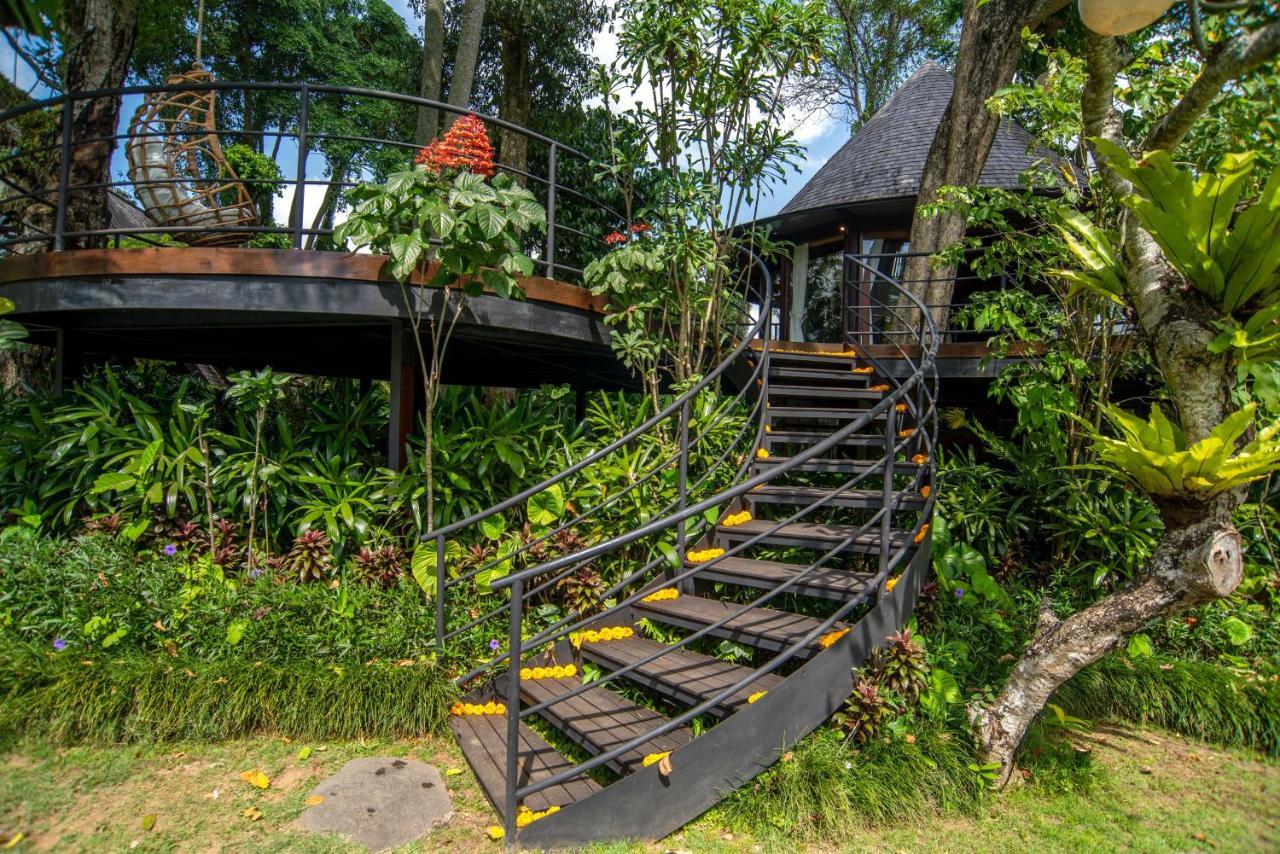 Green Tree House อูบุด ภายนอก รูปภาพ